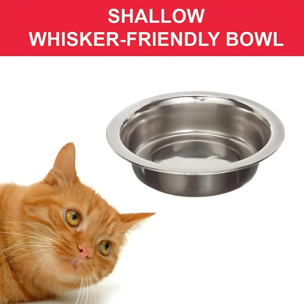 4 Pack Stainless Steel Cat & Dog Bowls, 8 oz Each P697
