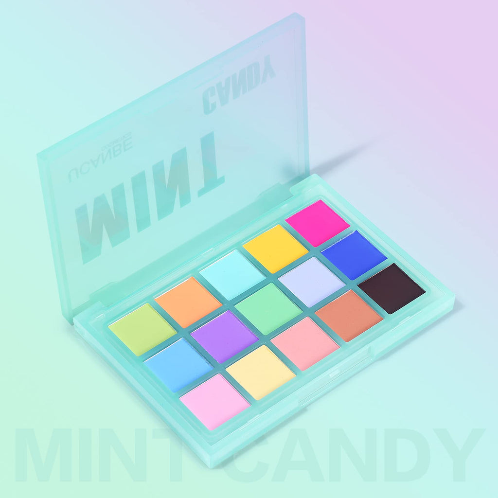 Colorful Matte 15 Shades Eyeshadow Palette L27383