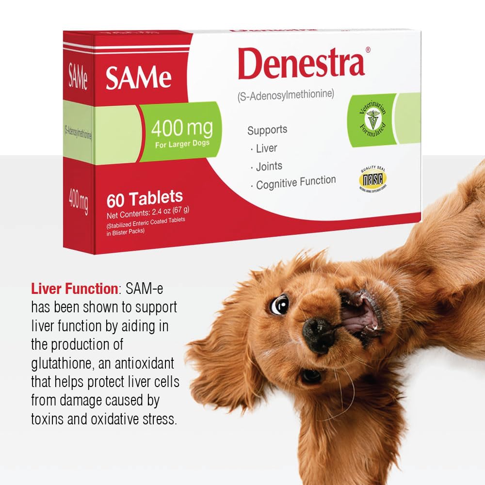 Same for Dogs 200 mg 60 Tablets J273240