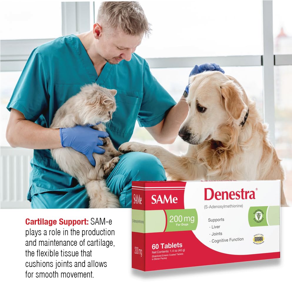 Same for Dogs 200 mg 60 Tablets J273240