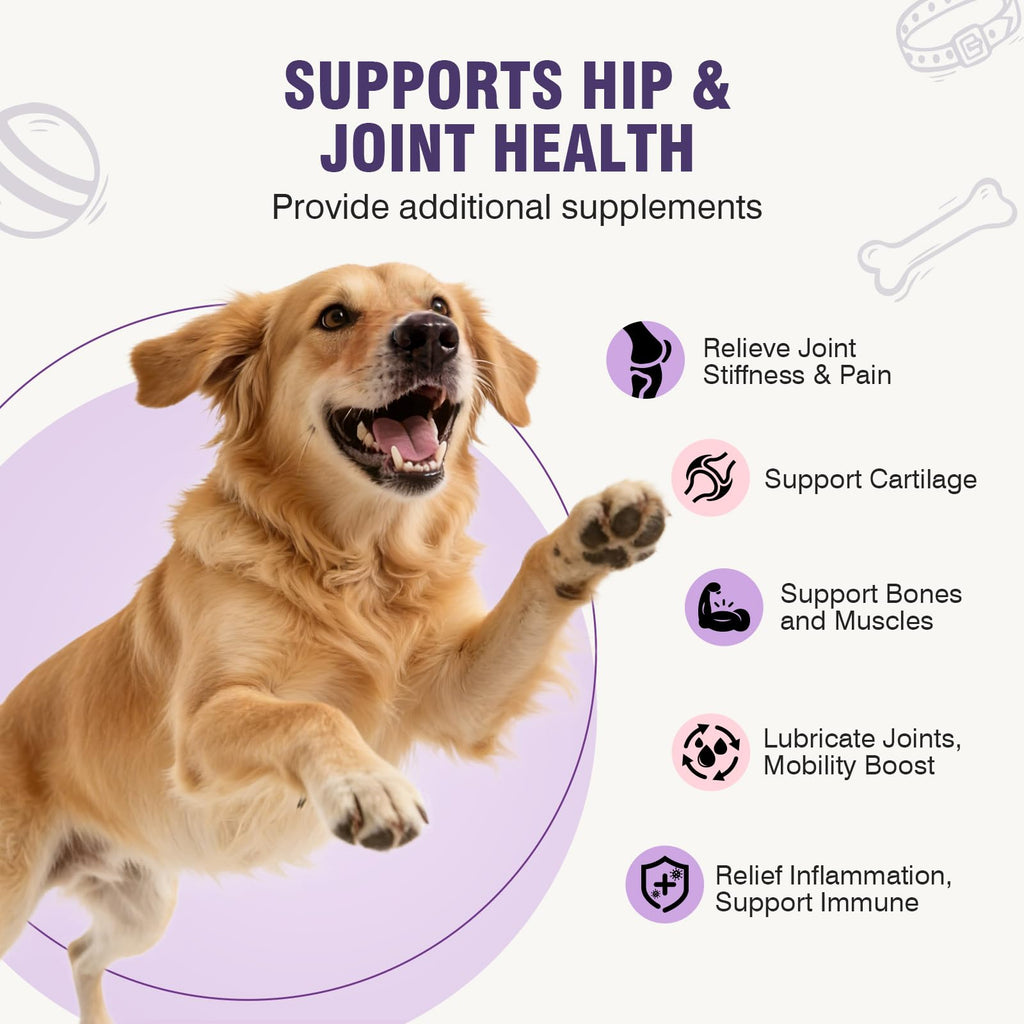 Glucosamine Chondroitin MSM Joint Supplement for Dogs 200 ct E1969