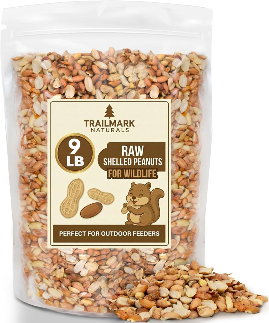 Raw Shelled Peanuts K472