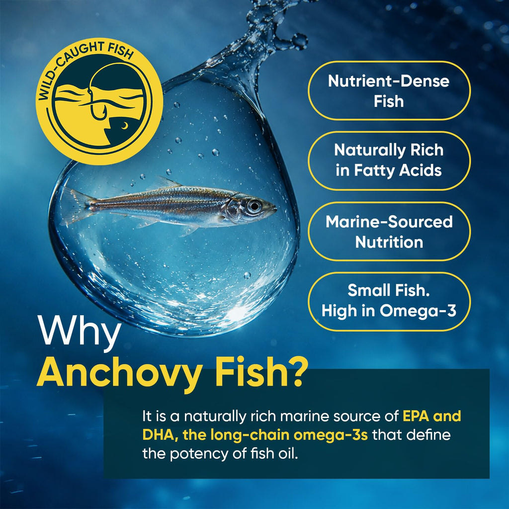 Omega 3 Fish Oil 3000mg 240 Softgels L143829