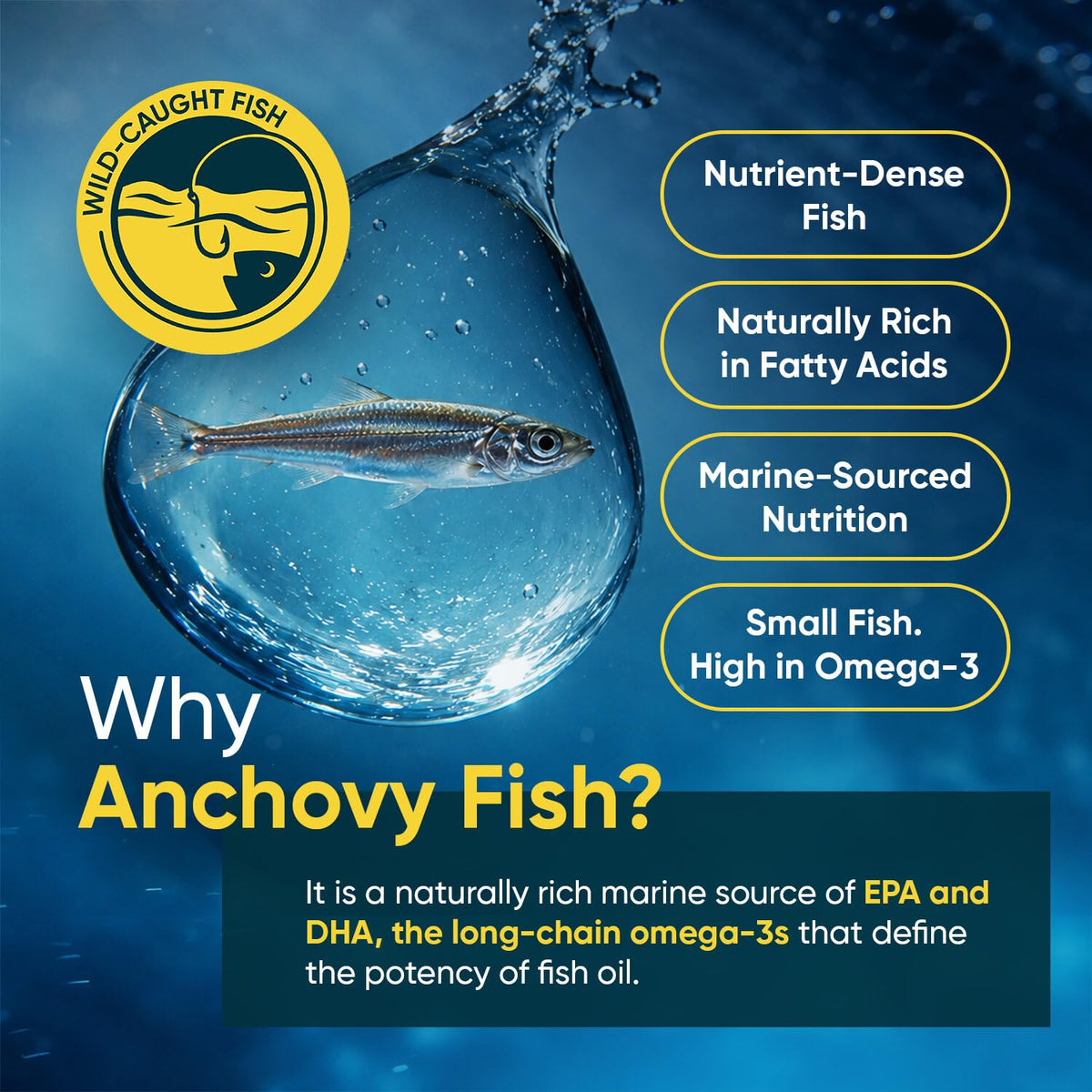 Omega 3 Fish Oil 3000mg 240 Softgels L143829