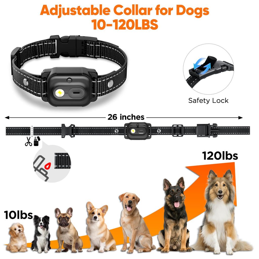 Orange Dog Training Collar with Remote C41862