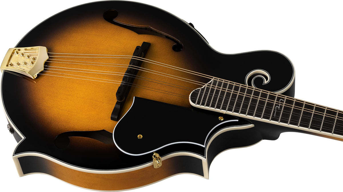Solid Top F-Style Acoustic-Electric Mandolin Tobacco Sunburst V240