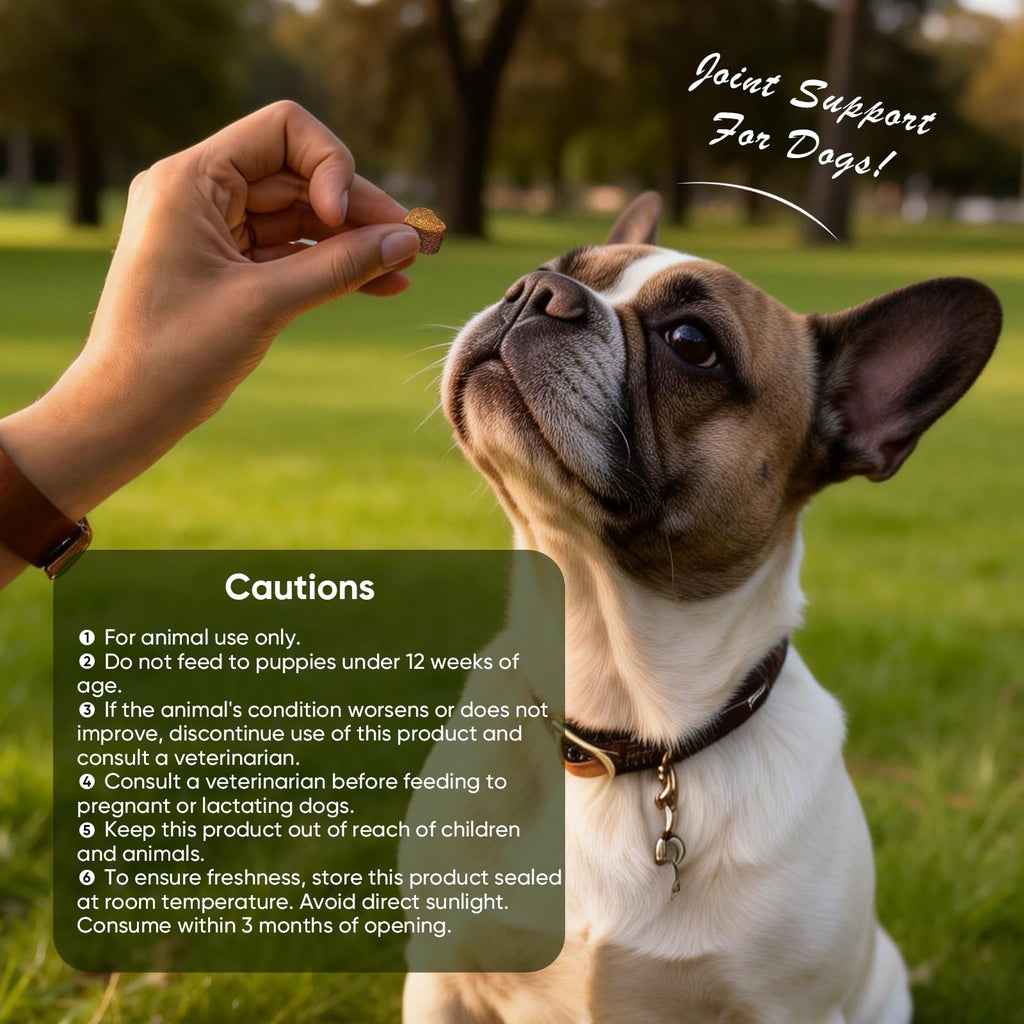Glucosamine Chondroitin MSM Joint Supplement for Dogs 200 ct E1969