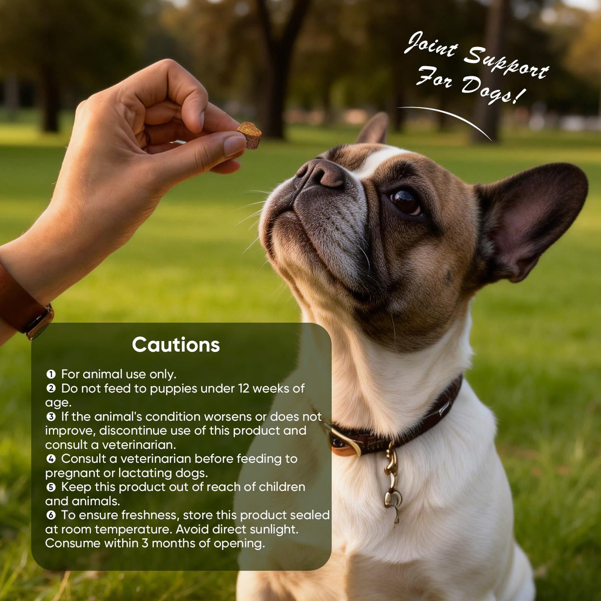 Glucosamine Chondroitin MSM Joint Supplement for Dogs 200 ct E1969