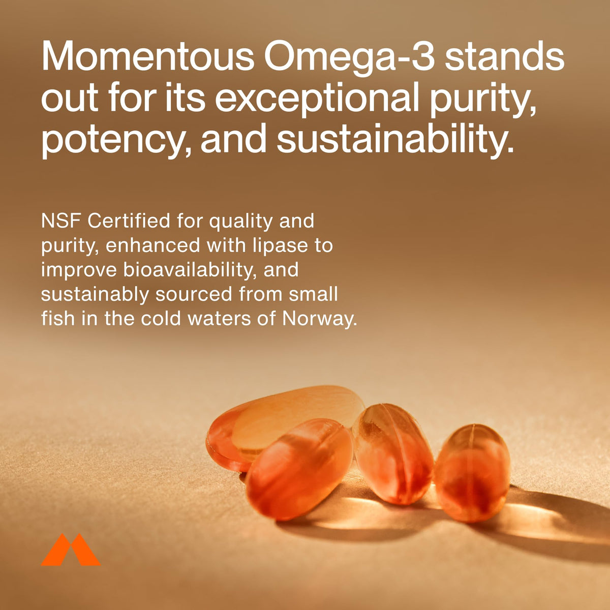 Omega-3 Fish Oil EPA & DHA 1,600mg Supplement H385712