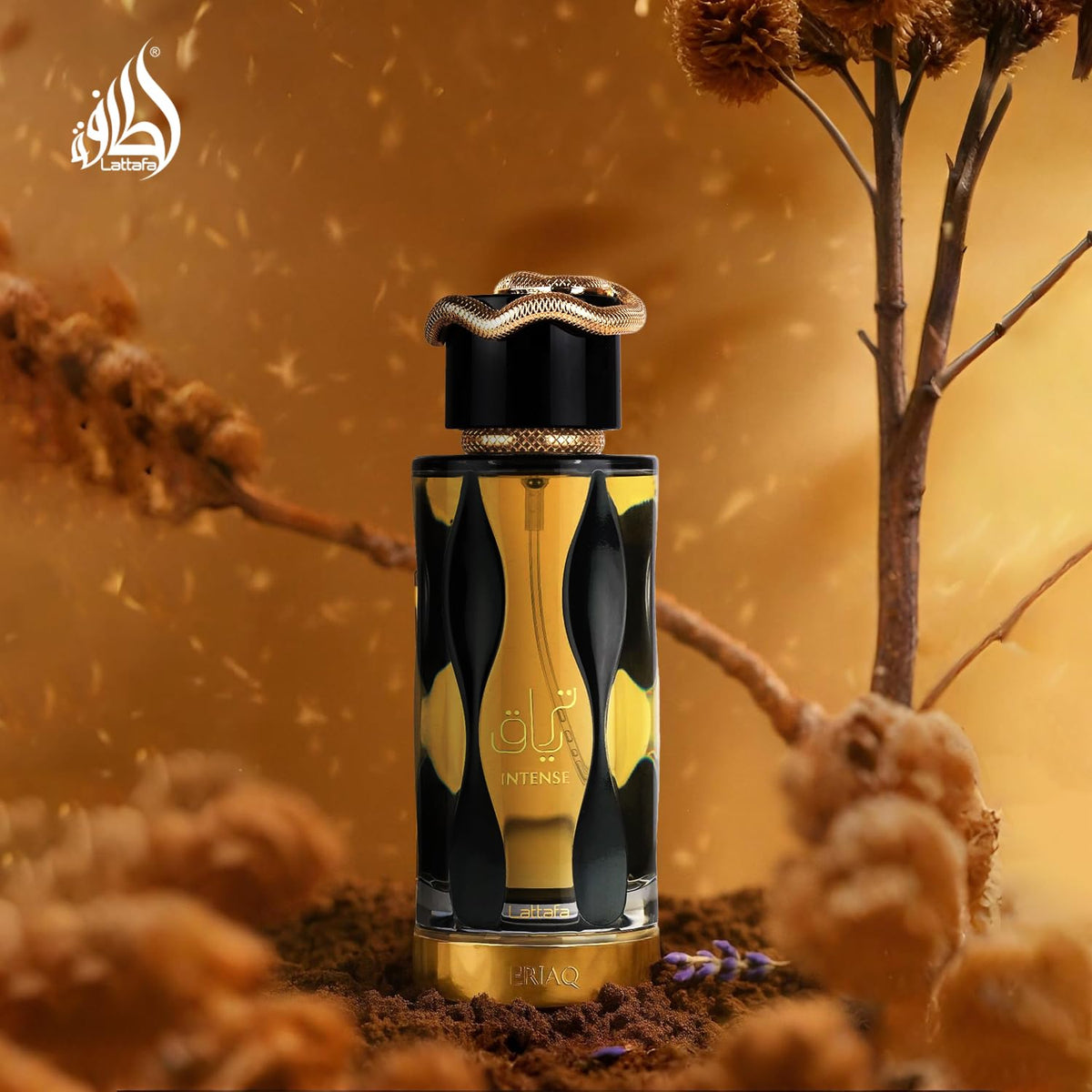 Eau de Parfum Spray 3.4 Ounce / 100 ml I3608