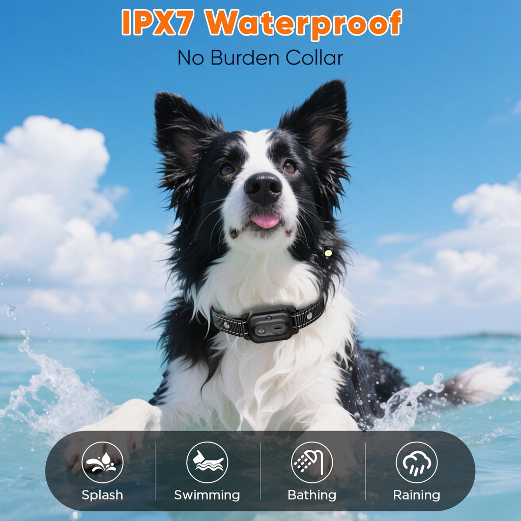 Orange Dog Training Collar with Remote C41862