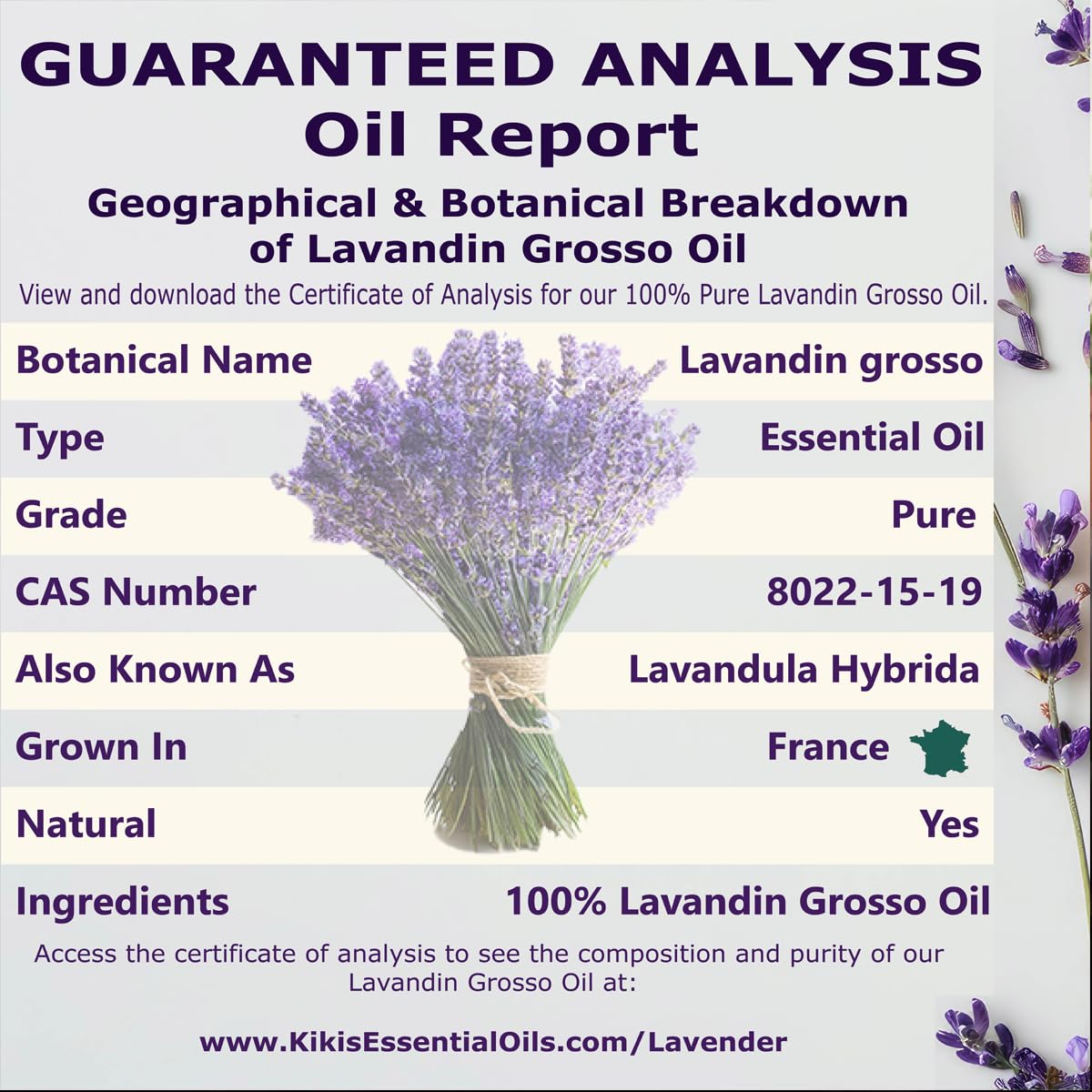 Lavender Essential Oil with Glass Dropper 4 Fl Oz P355