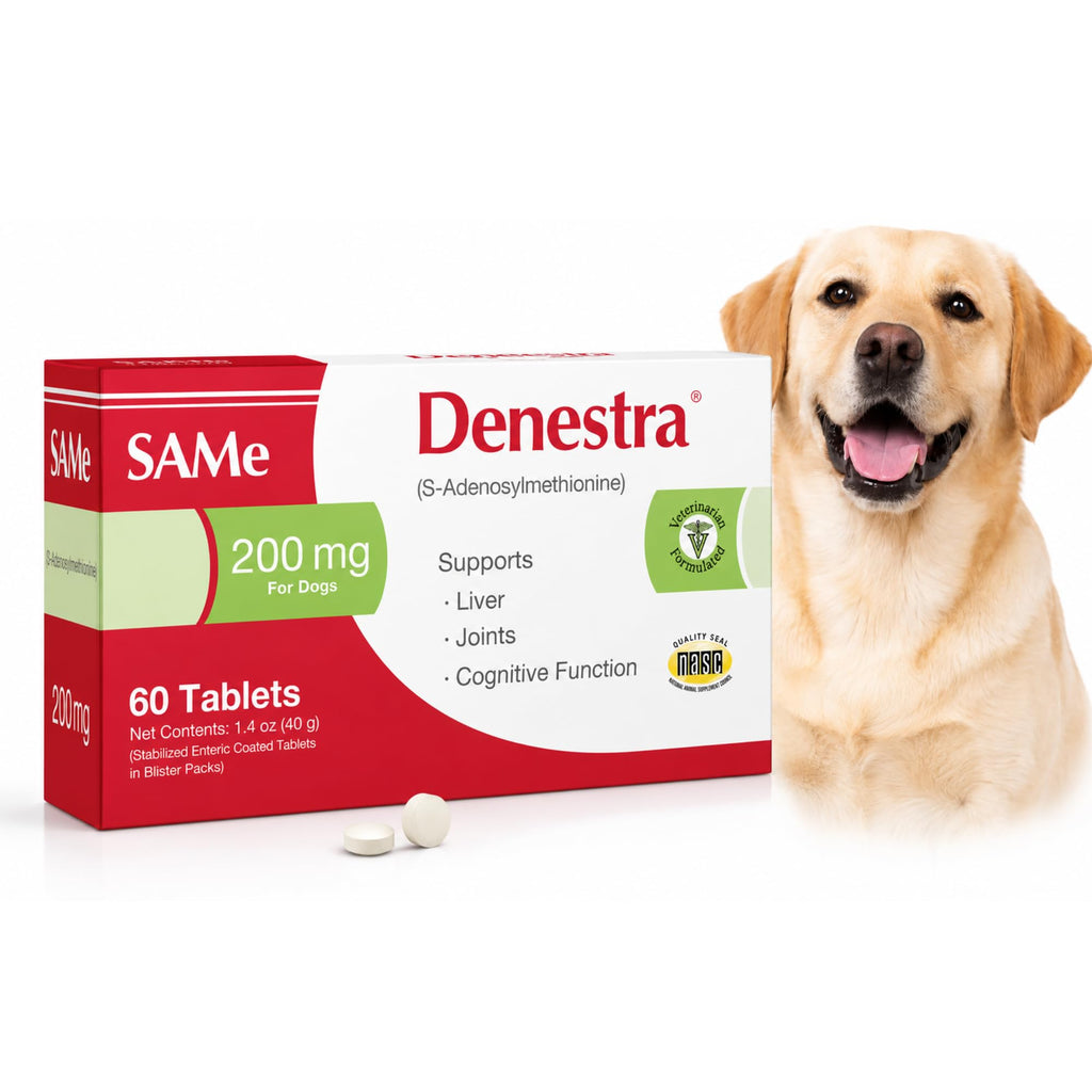 Same for Dogs 200 mg 60 Tablets J273240