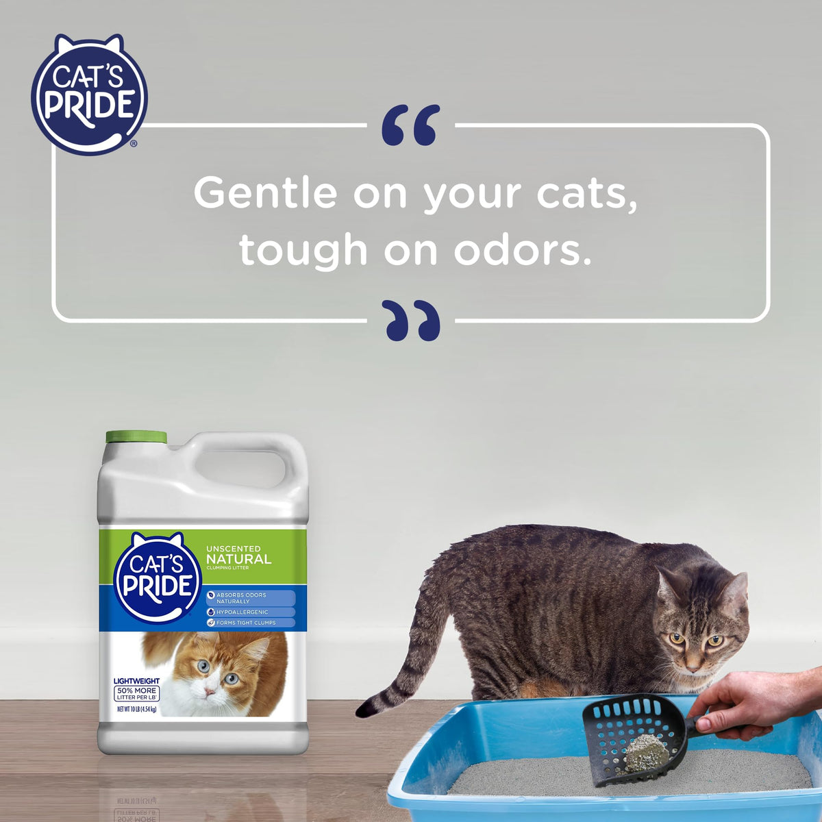 Lightweight Hypoallergenic Clumping Litter 10lb L9866