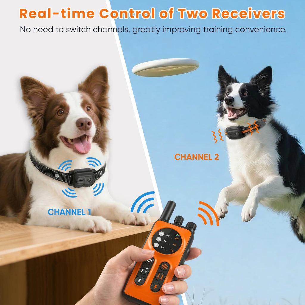 Orange Dog Training Collar with Remote C41862