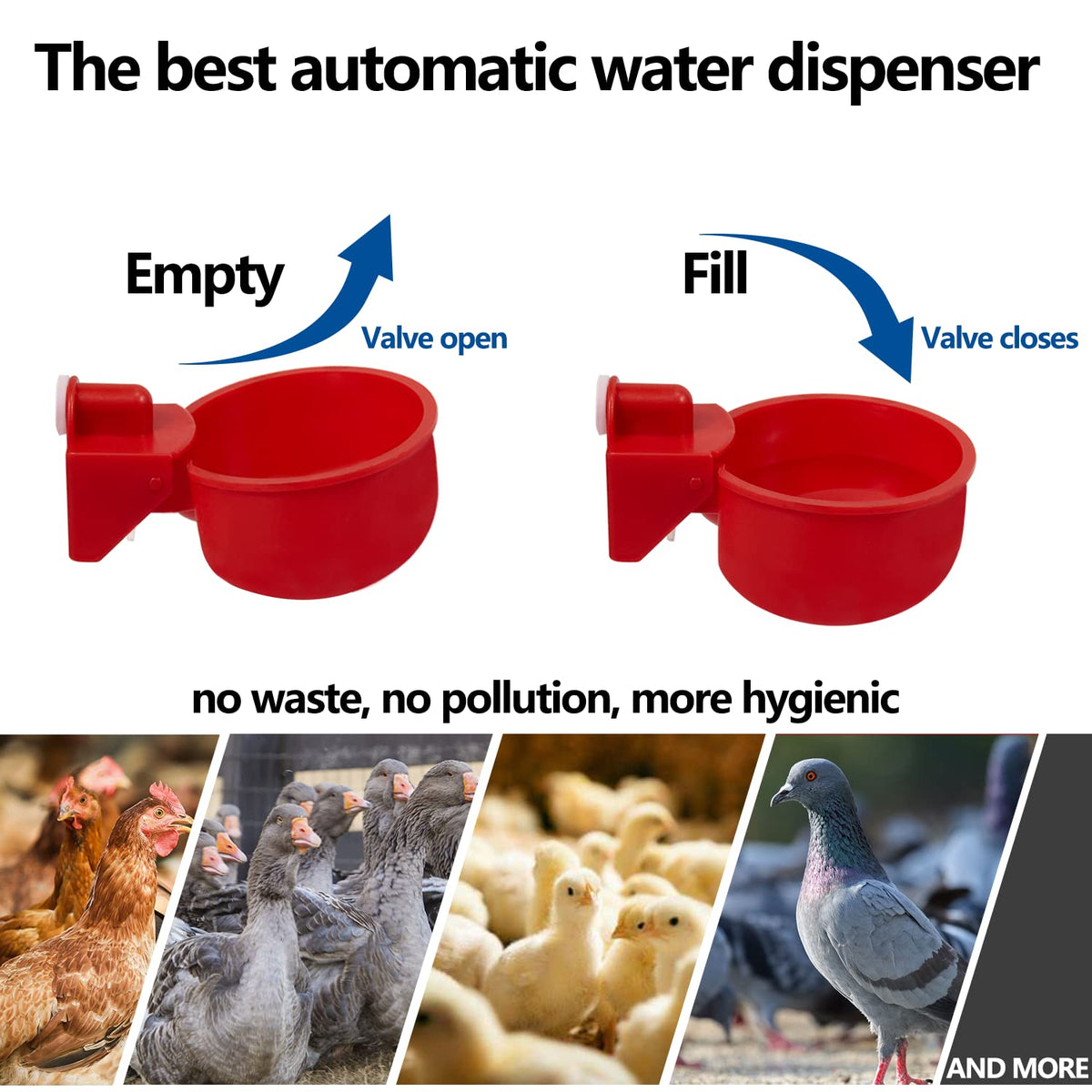 Automatic Poultry Waterer Kit 5 Gallon 12 Pack D8623