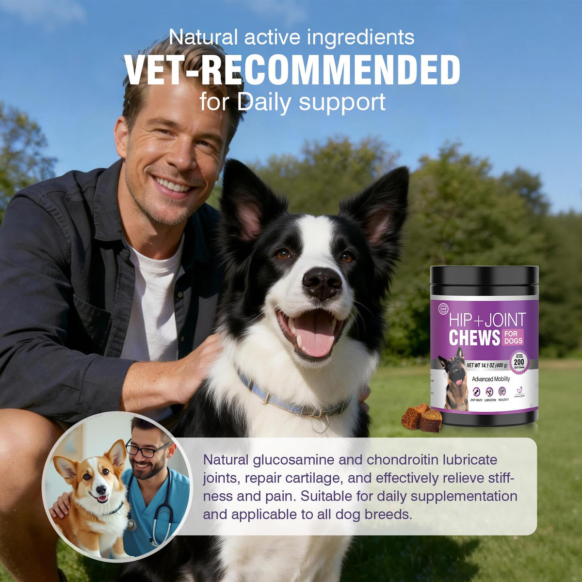 Glucosamine Chondroitin MSM Joint Supplement for Dogs 200 ct E1969