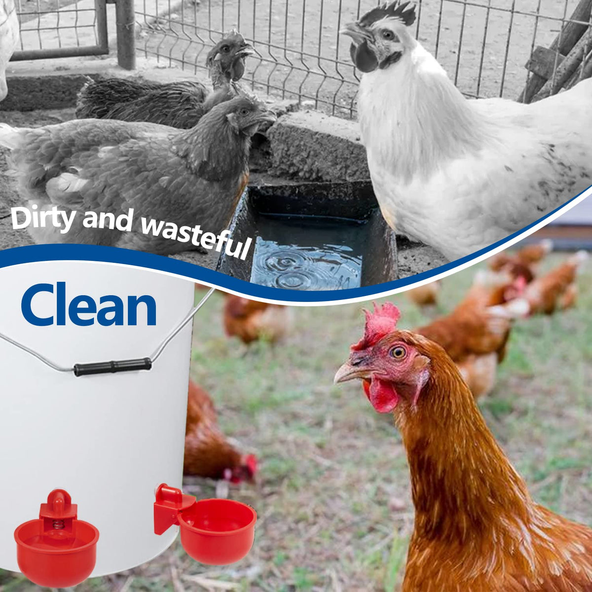 Automatic Poultry Waterer Kit 5 Gallon 12 Pack D8623