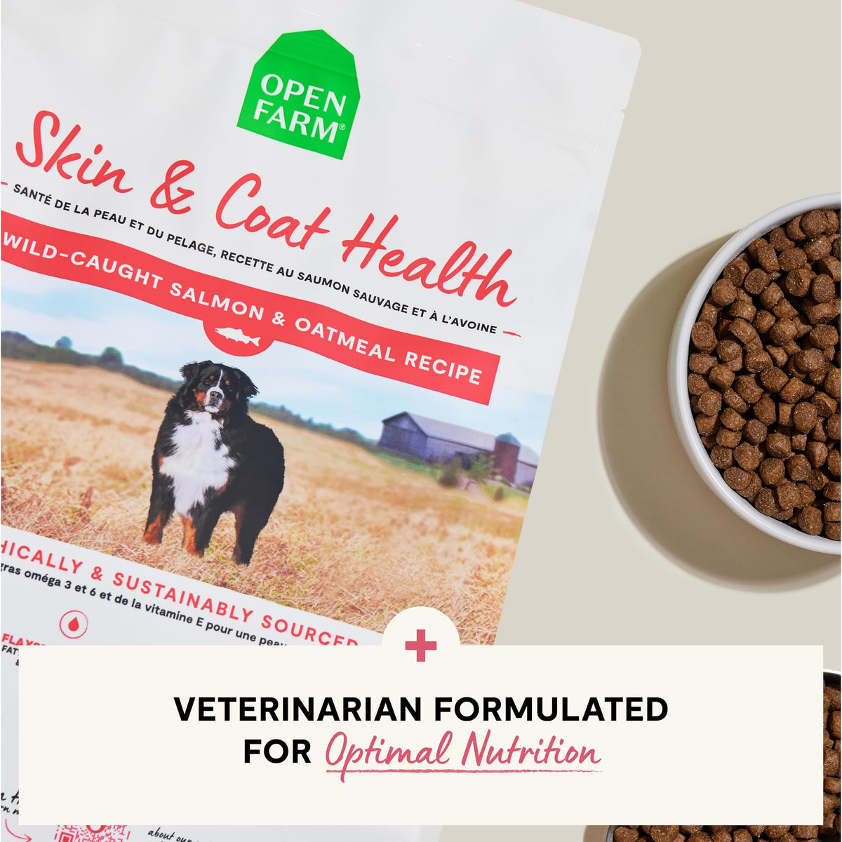 Salmon & Oatmeal Dry Dog Food 4lb Bag U26114