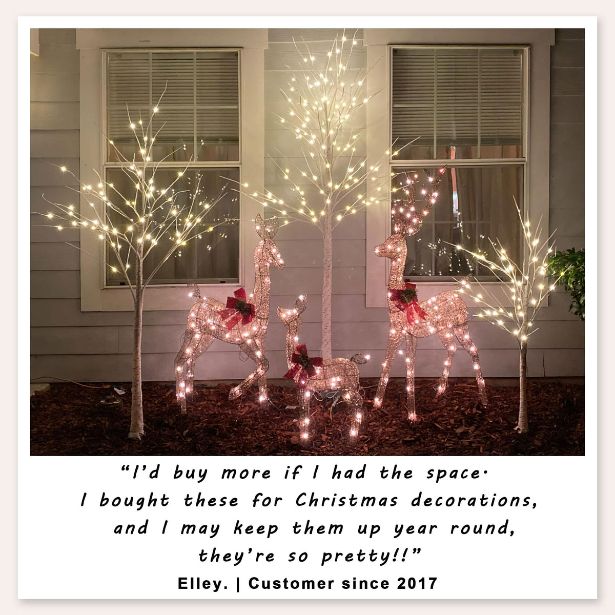 2 Pack 8FT 132 LED Lighted Artificial Birch Tree Warm White X6363