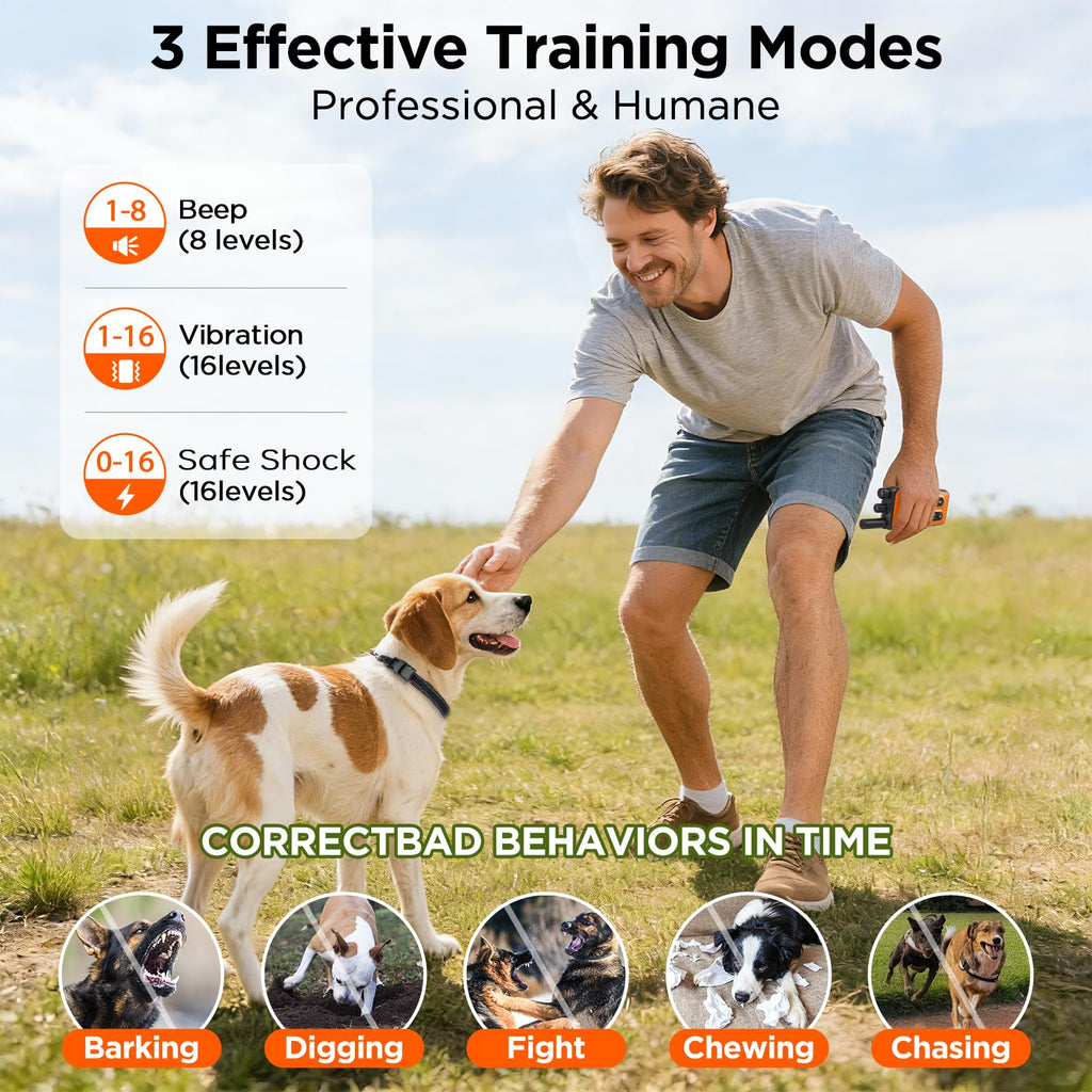 Orange Dog Training Collar with Remote C41862