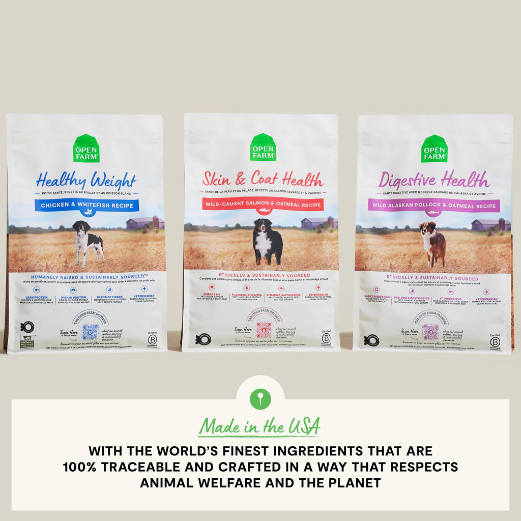 Salmon & Oatmeal Dry Dog Food 4lb Bag U26114
