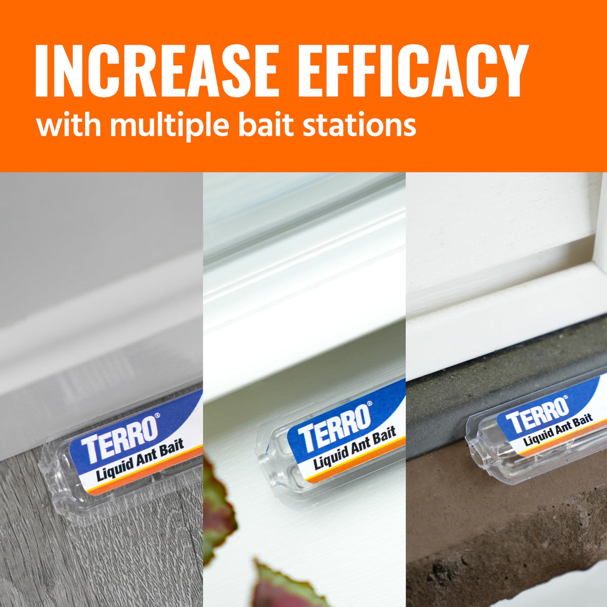 Liquid Ant Killer Bait Stations 12-Pack Z45260