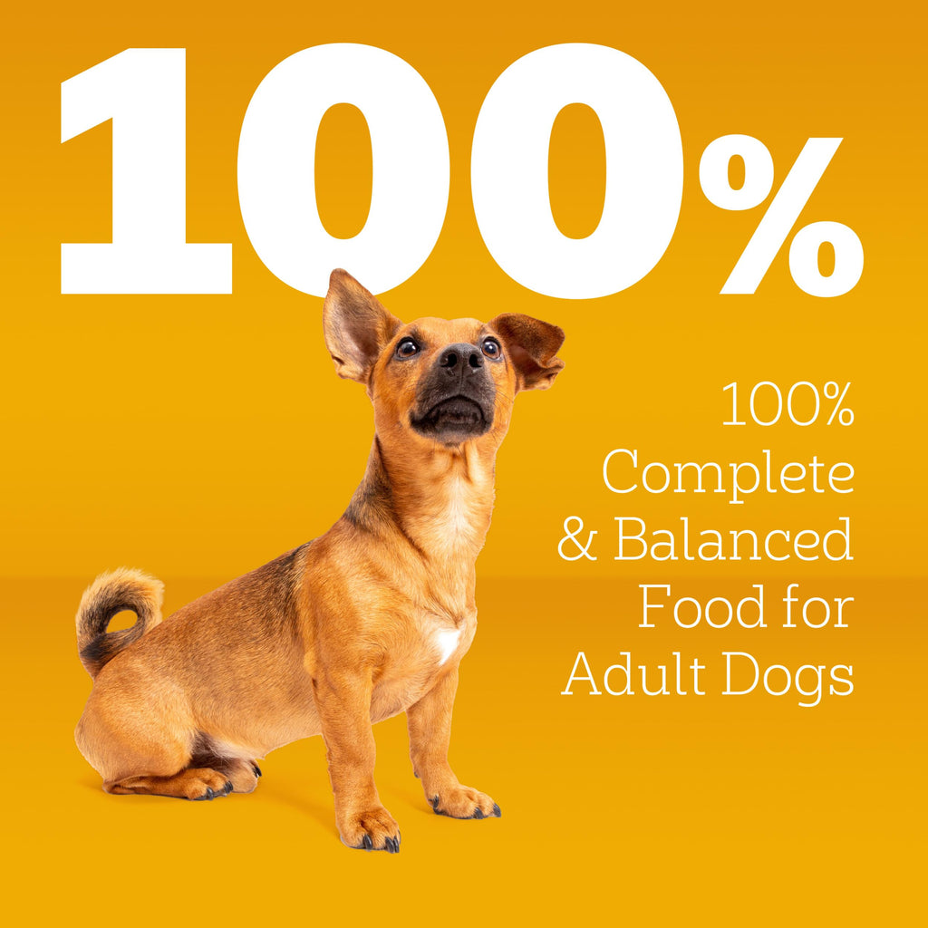 Dry Dog Food 14 lb F38984
