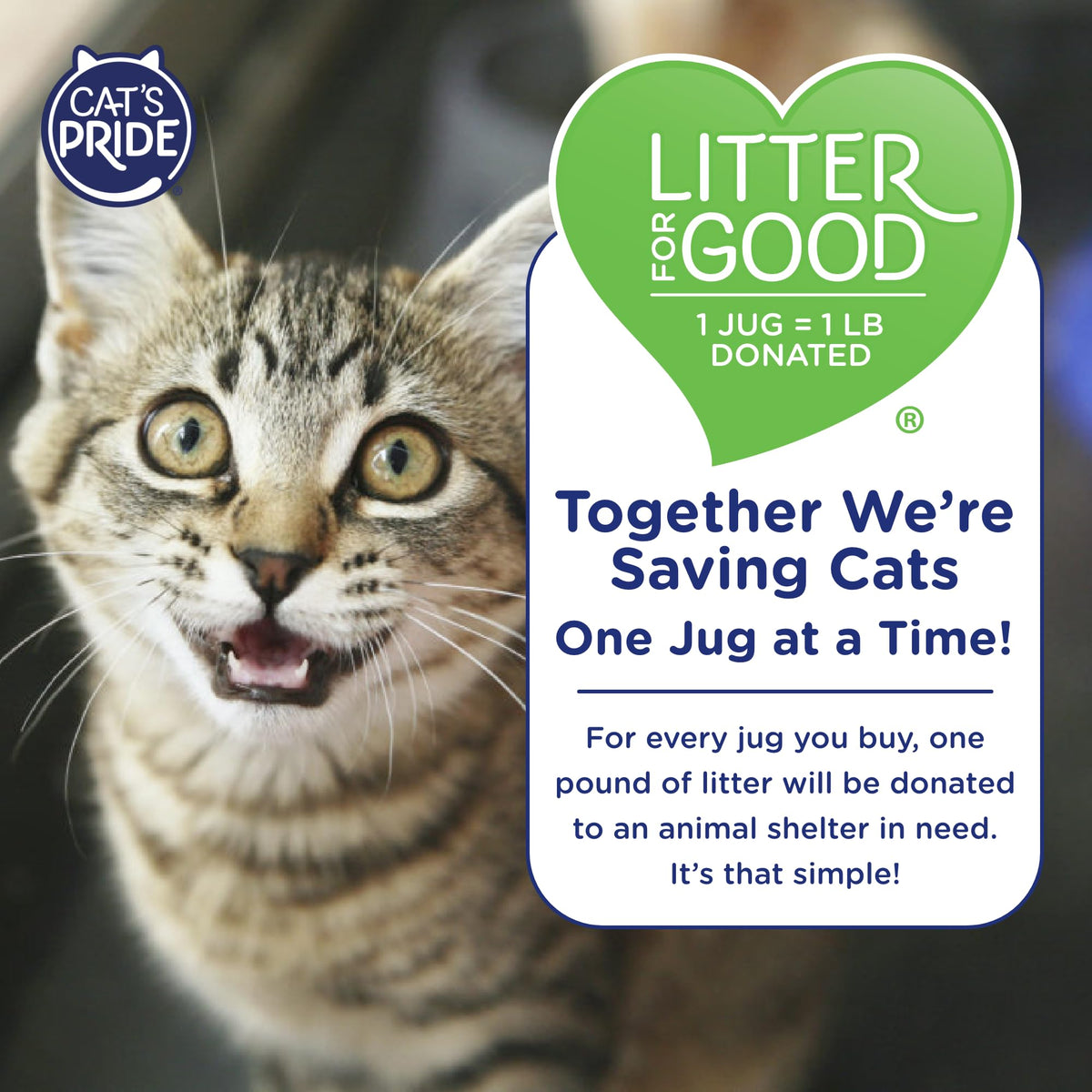Lightweight Hypoallergenic Clumping Litter 10lb L9866