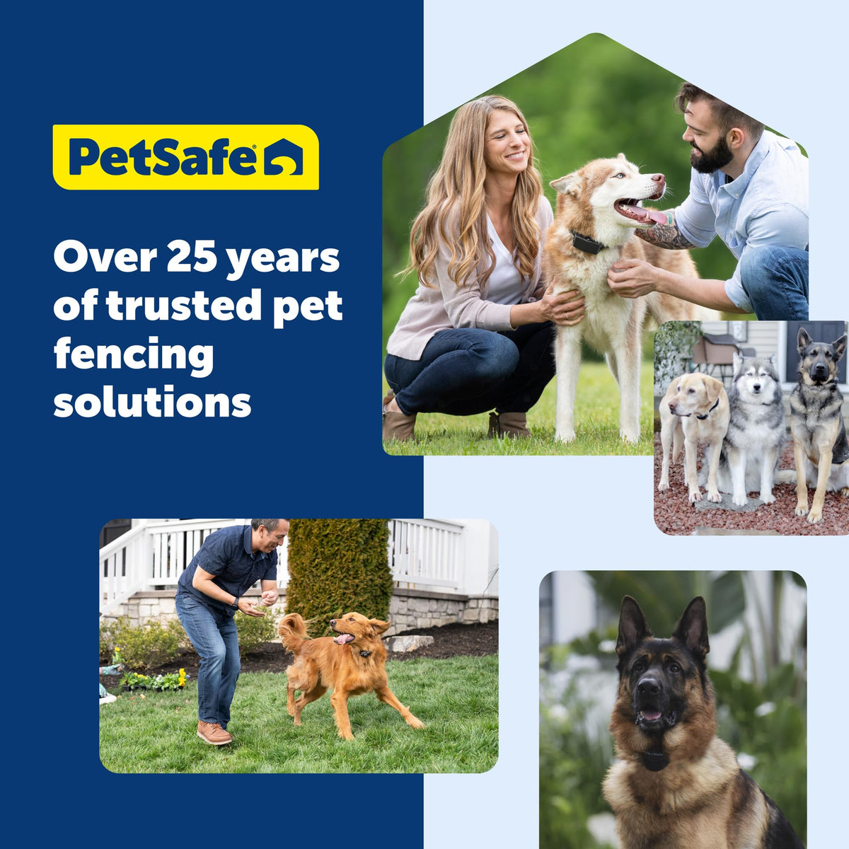 Wireless Fence, 2 Dog, Up to 3/4 Acre Y9398