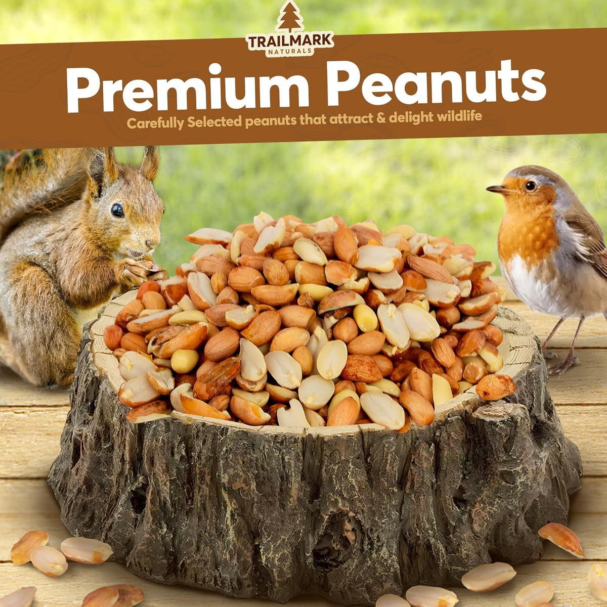 Raw Shelled Peanuts K472