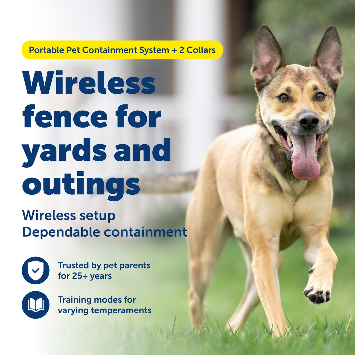 Wireless Fence, 2 Dog, Up to 3/4 Acre Y9398