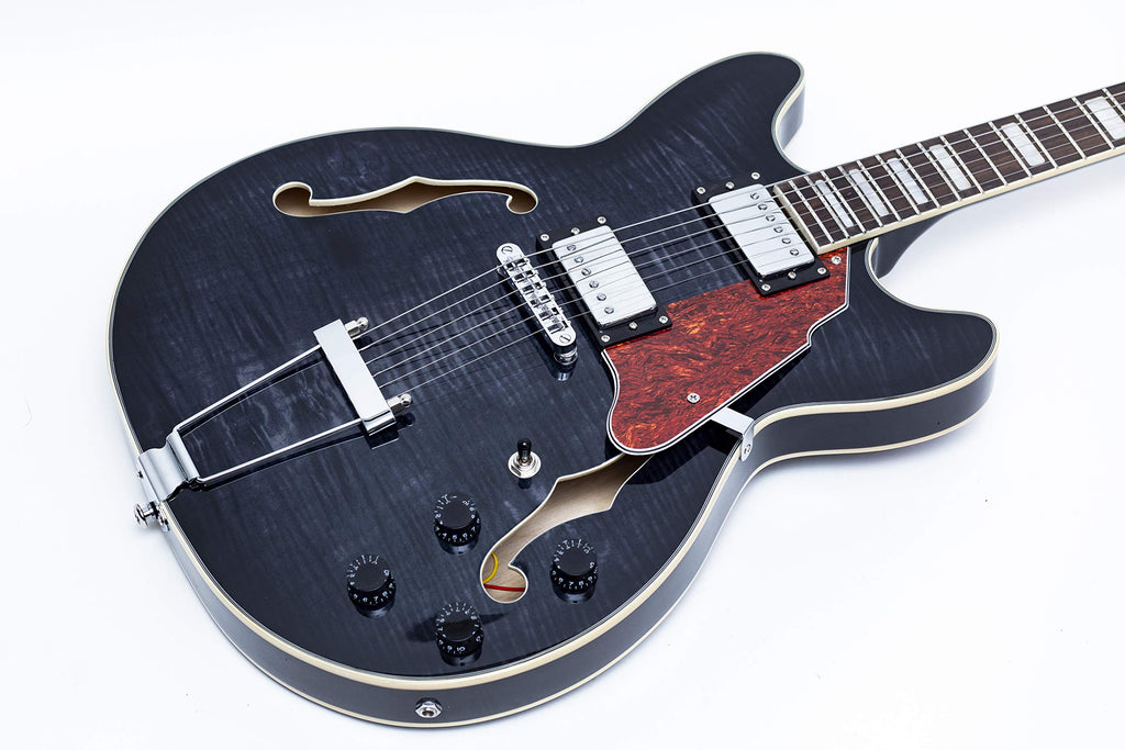 Black Semi-Hollow Body Electric Guitar with Gig Bag Y2706