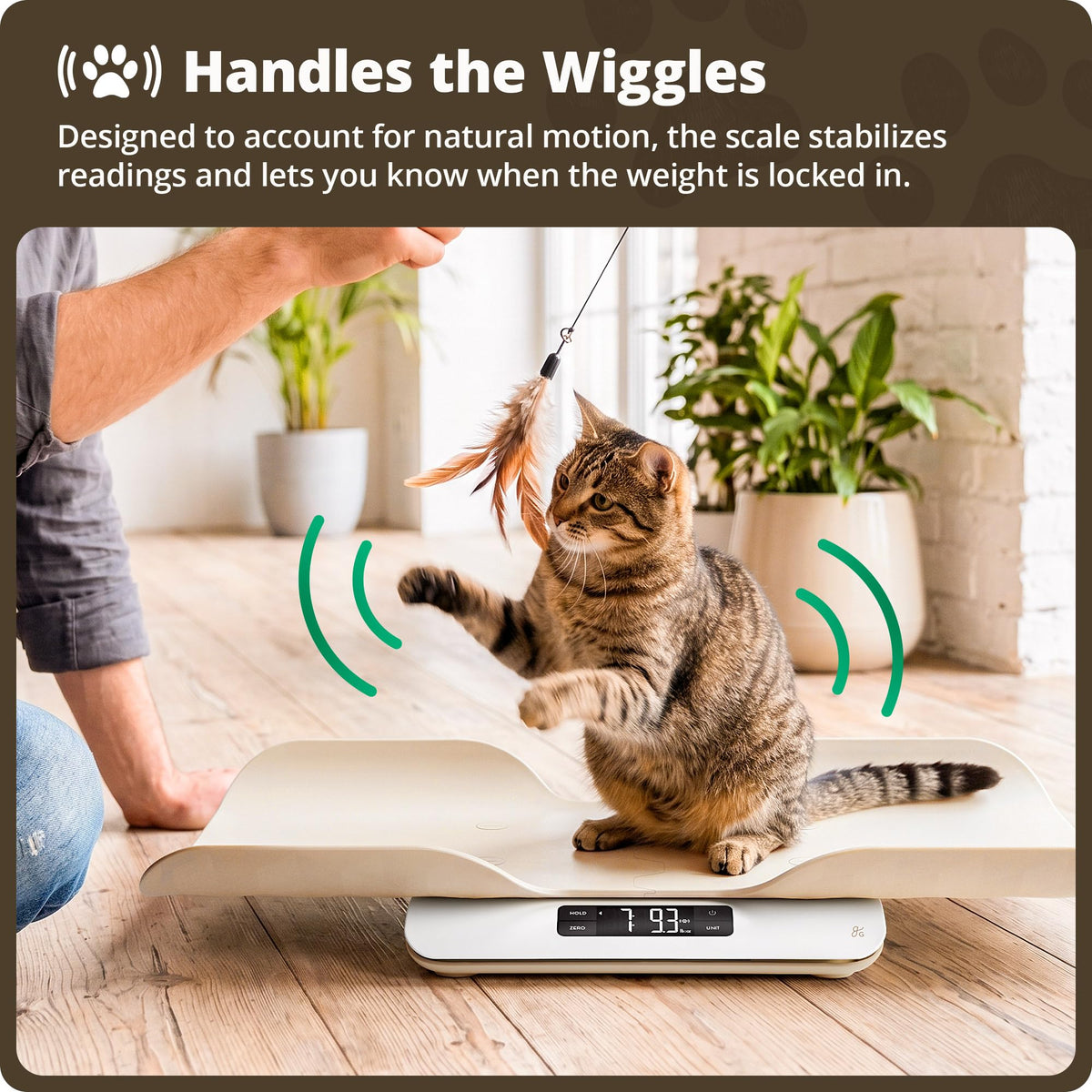 Digital Pet Scale for Cats, Dogs & Small Animals F9920
