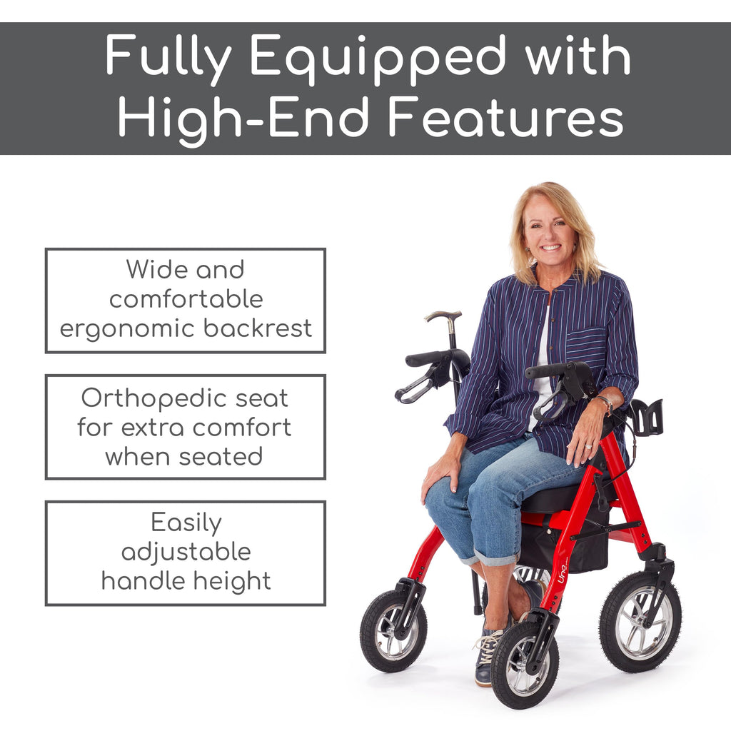 All Terrain Rolling Walker with Pneumatic Tires D48776