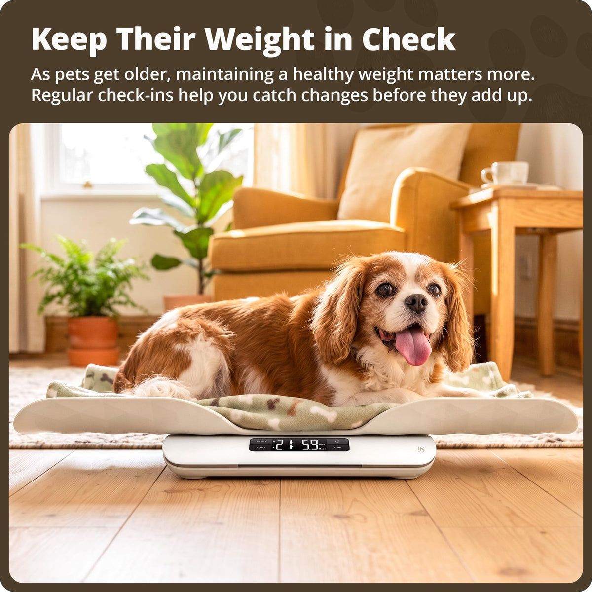 Digital Pet Scale for Cats, Dogs & Small Animals F9920