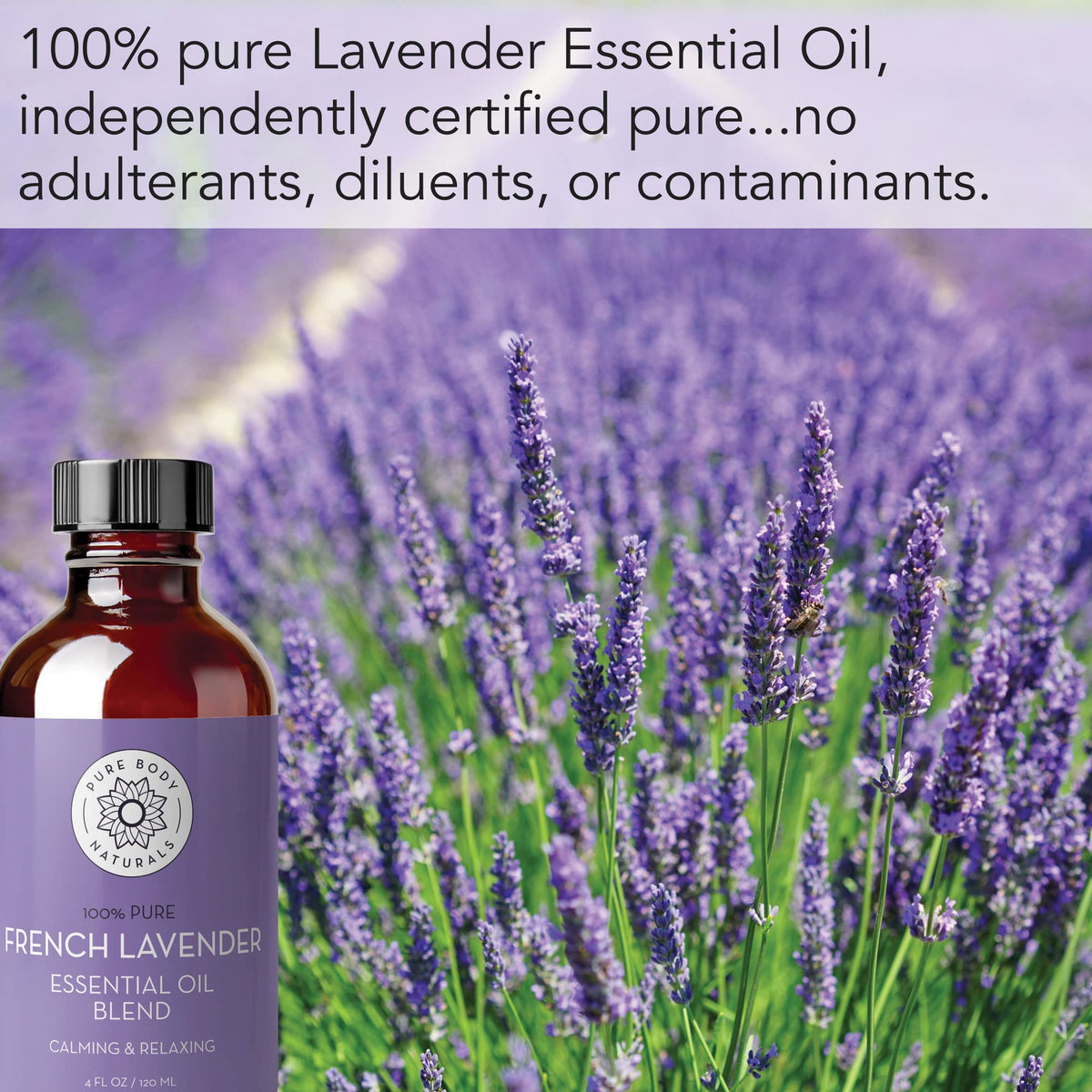 French Lavender Essential Oil 4 fl oz W118780
