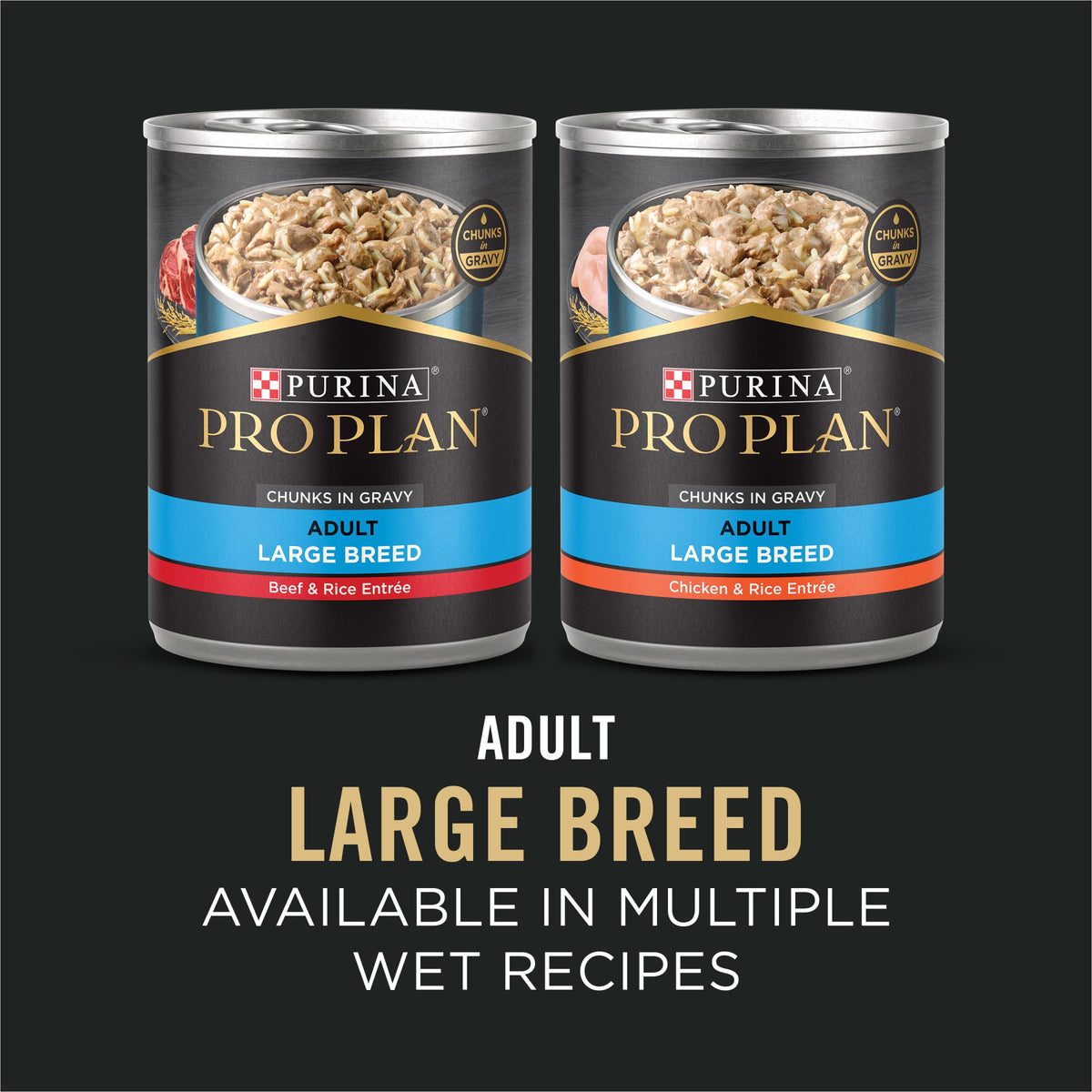 Chicken & Rice Dry Dog Food 34 lb Bag H9266