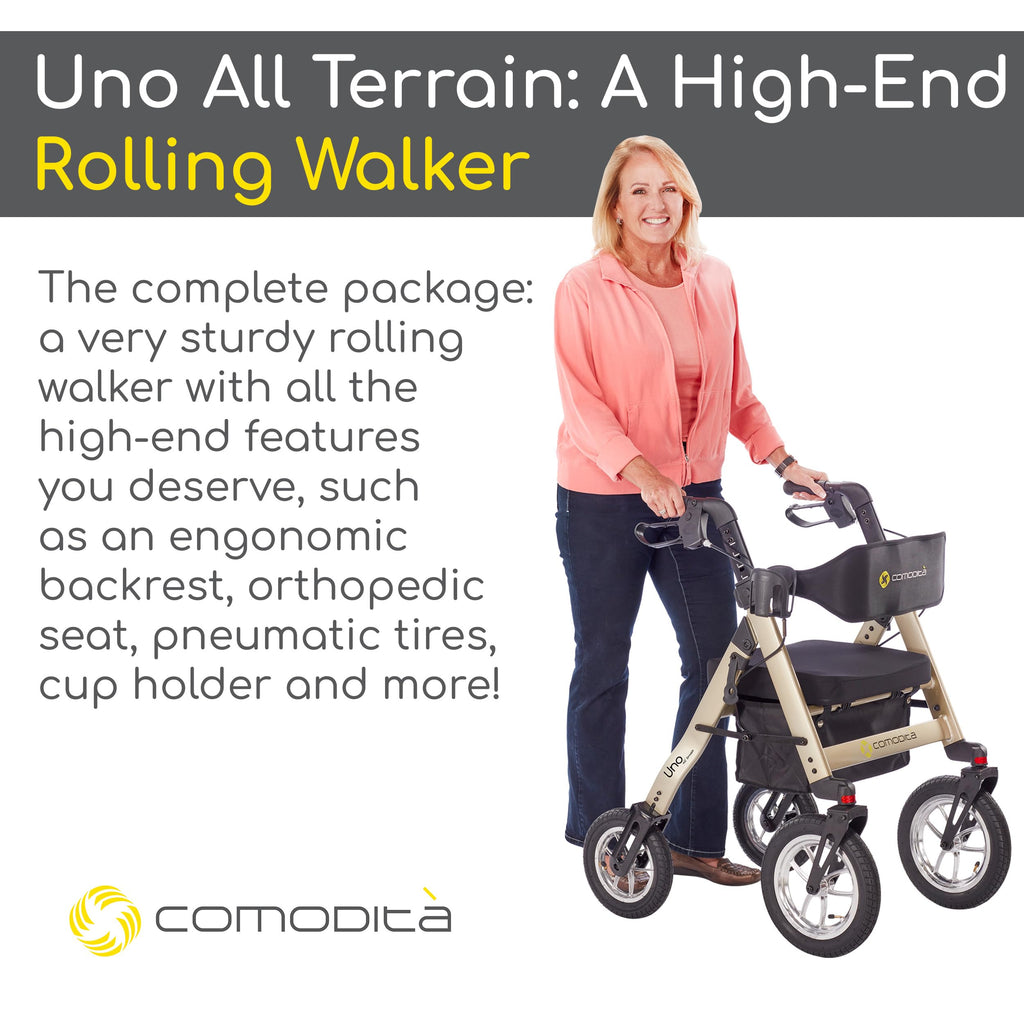 All Terrain Rolling Walker with Pneumatic Tires D48776