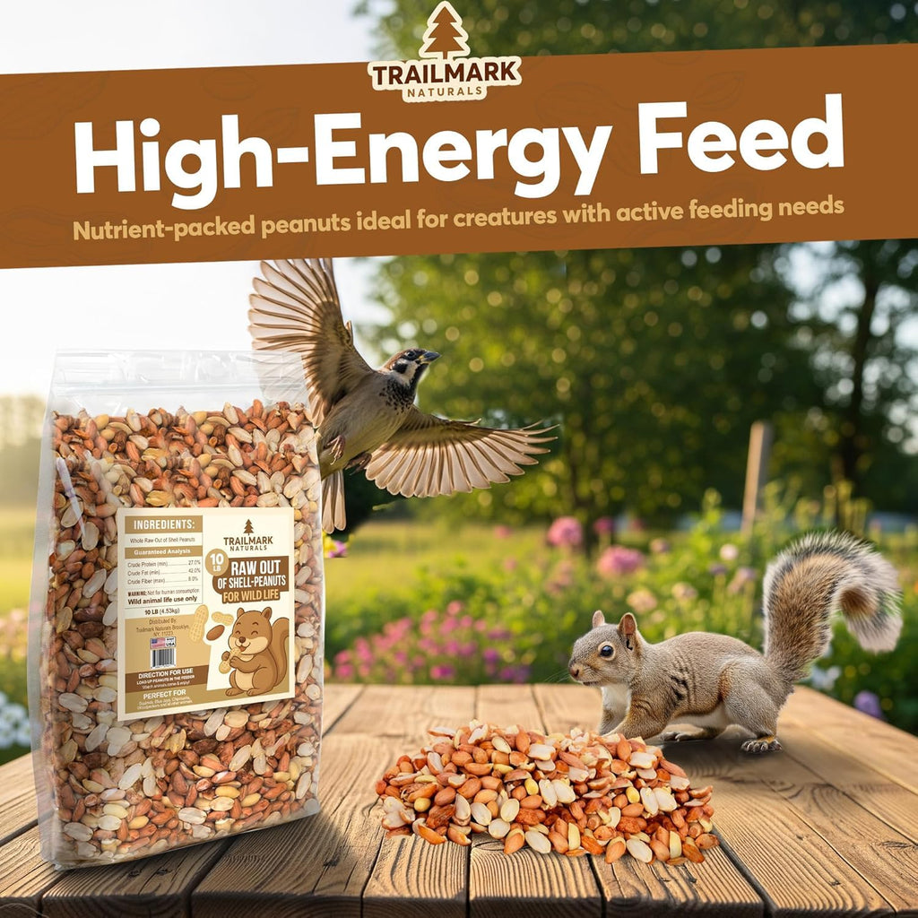 Raw Shelled Peanuts K472